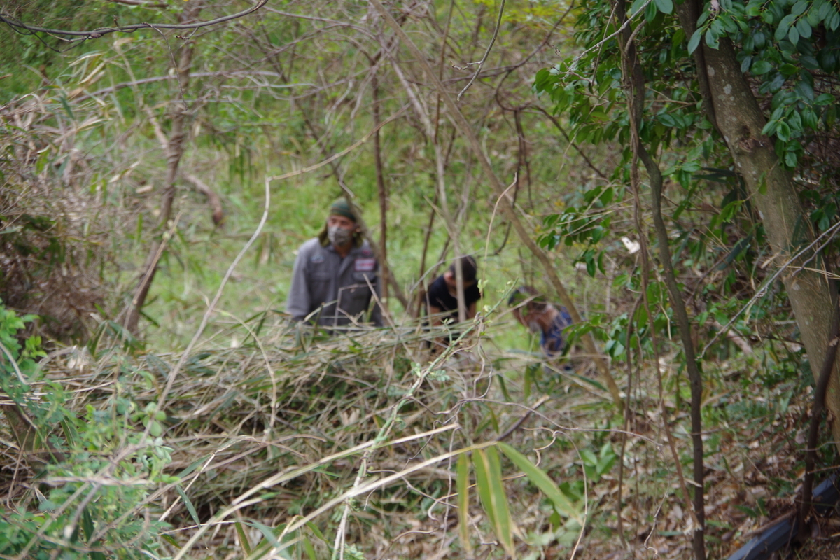 f:id:setakayabase:20201022071732j:plain f:id:setakayabase:20201022071732j:plain