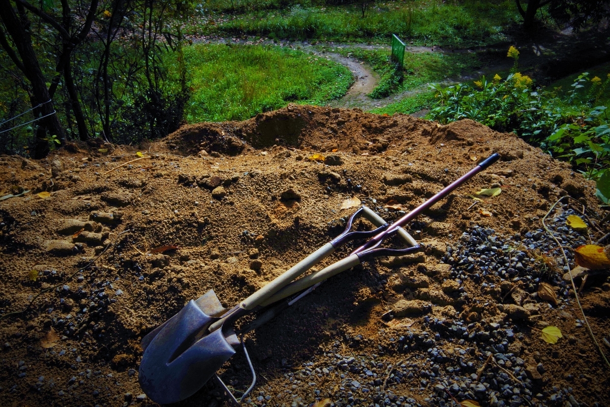 f:id:setakayabase:20201022215513j:plain f:id:setakayabase:20201022215513j:plain