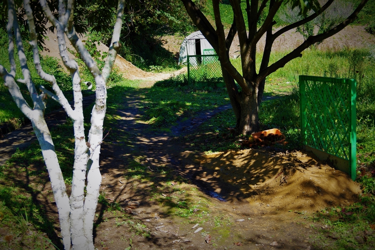 f:id:setakayabase:20201022221202j:plain f:id:setakayabase:20201022221202j:plain