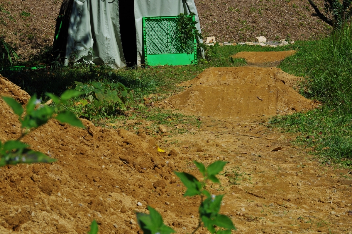 f:id:setakayabase:20201022221918j:plain f:id:setakayabase:20201022221918j:plain