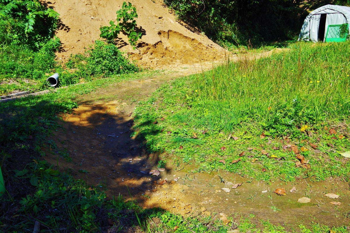 f:id:setakayabase:20201022222251j:plain f:id:setakayabase:20201022222251j:plain