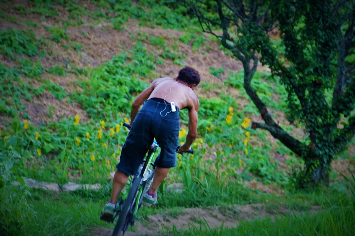 f:id:setakayabase:20201022230520j:plain f:id:setakayabase:20201022230520j:plain