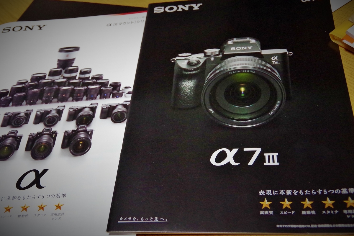 f:id:setakayabase:20210416004551j:plain