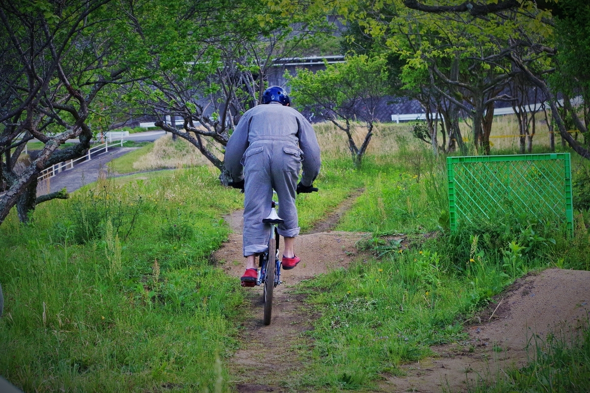 f:id:setakayabase:20210503065224j:plain