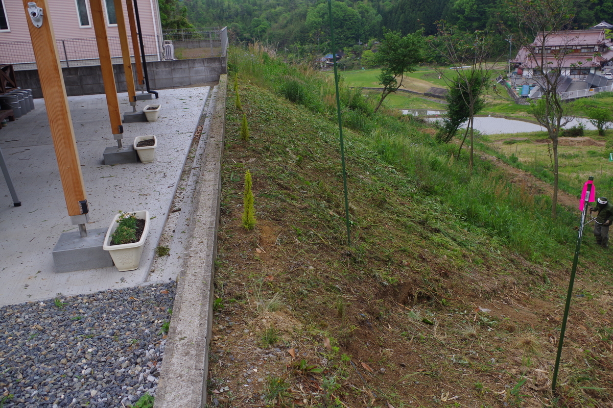 f:id:setakayabase:20210508213813j:plain