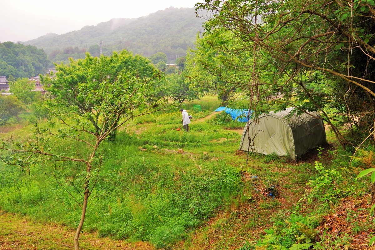 f:id:setakayabase:20210517064529j:plain