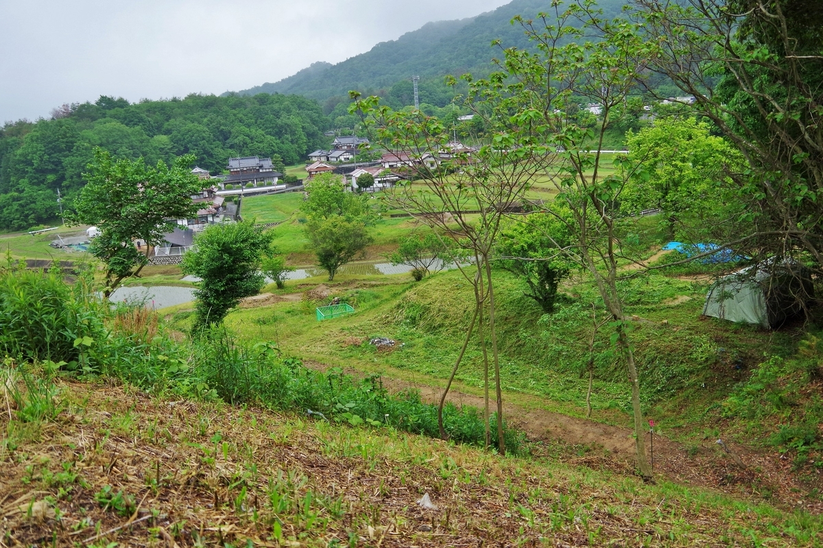 f:id:setakayabase:20210517064905j:plain