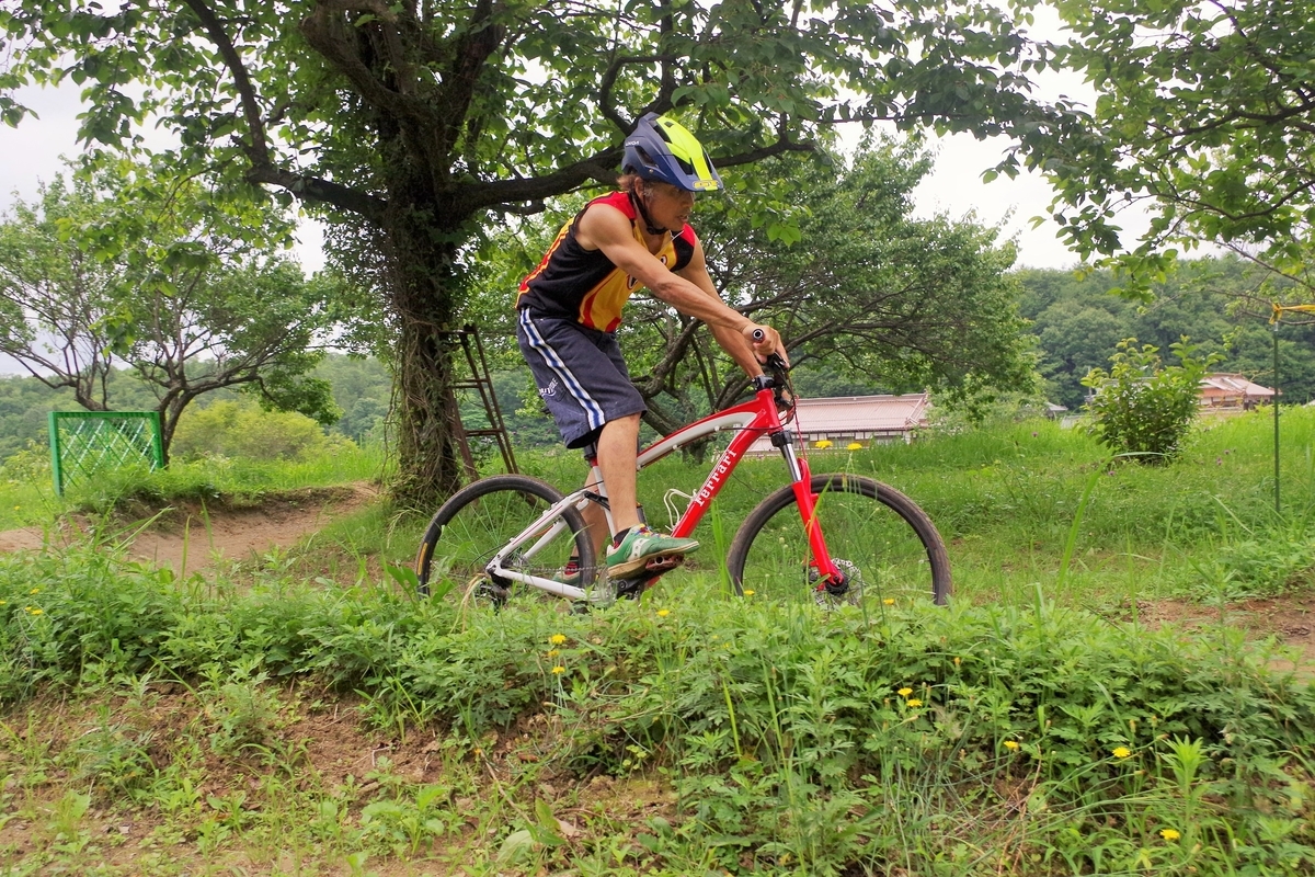 f:id:setakayabase:20210704010651j:plain