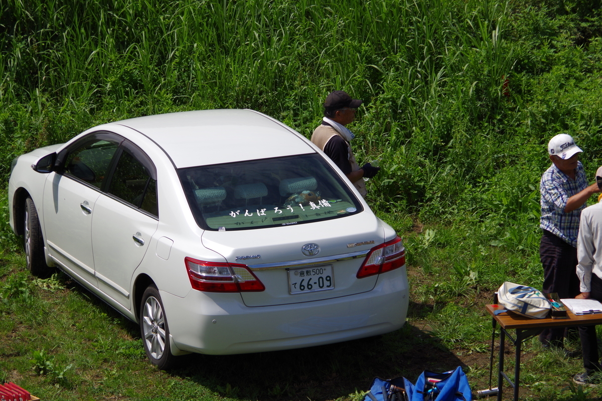 f:id:setakayabase:20210708021203j:plain