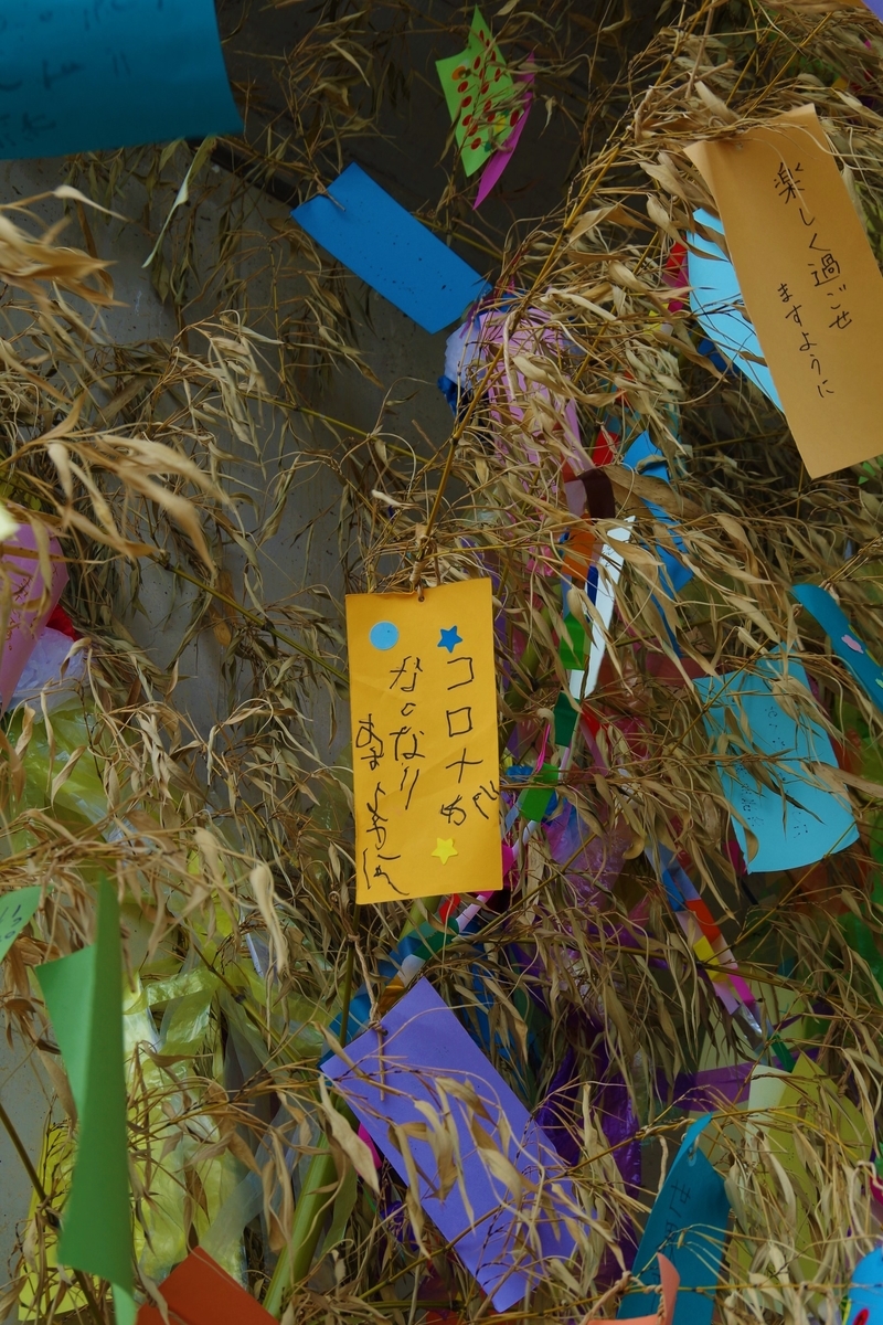 f:id:setakayabase:20210708042700j:plain