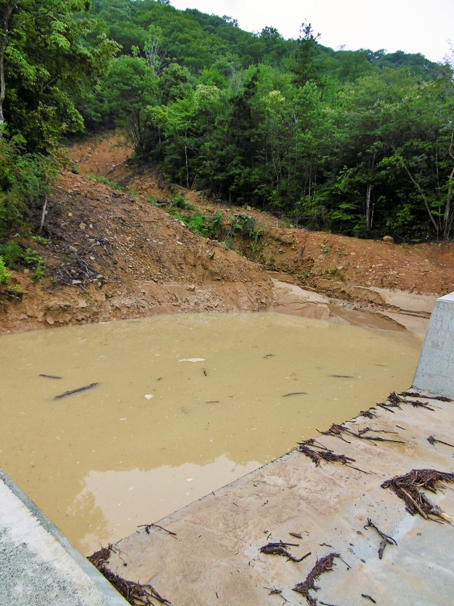 f:id:setakayabase:20210710234432j:plain