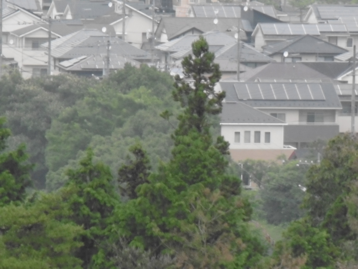 f:id:setakayabase:20210711000623j:plain