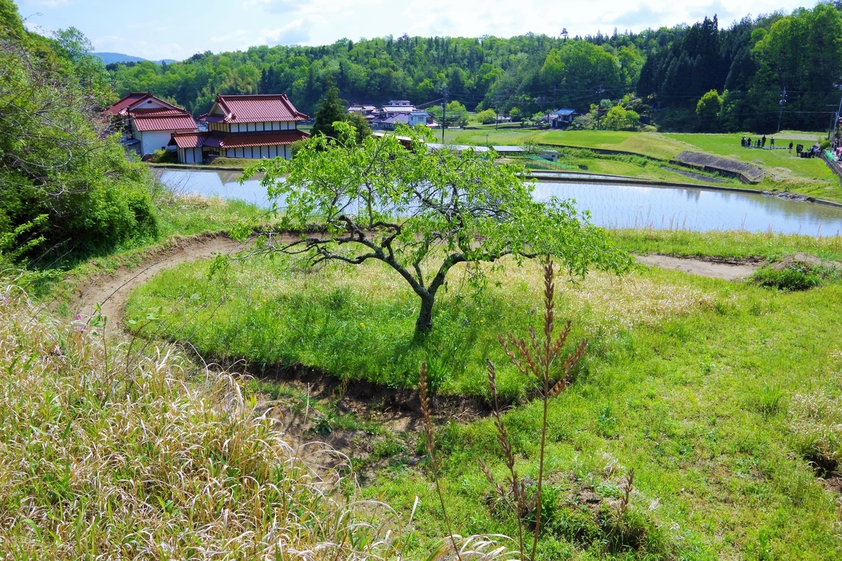 f:id:setakayabase:20210714024103j:plain