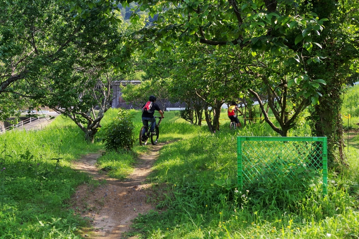 f:id:setakayabase:20210714061614j:plain