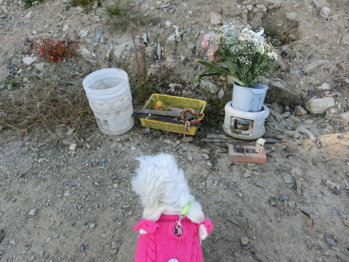 f:id:setakayabase:20210821034808j:plain