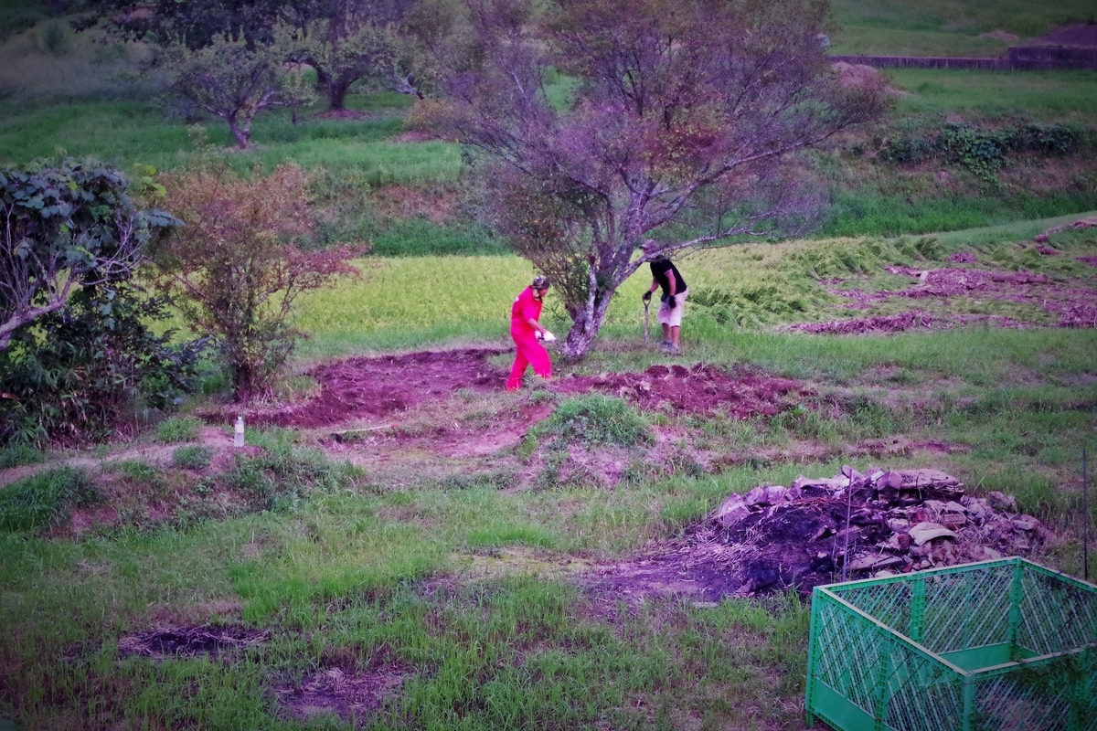 f:id:setakayabase:20210822181321j:plain