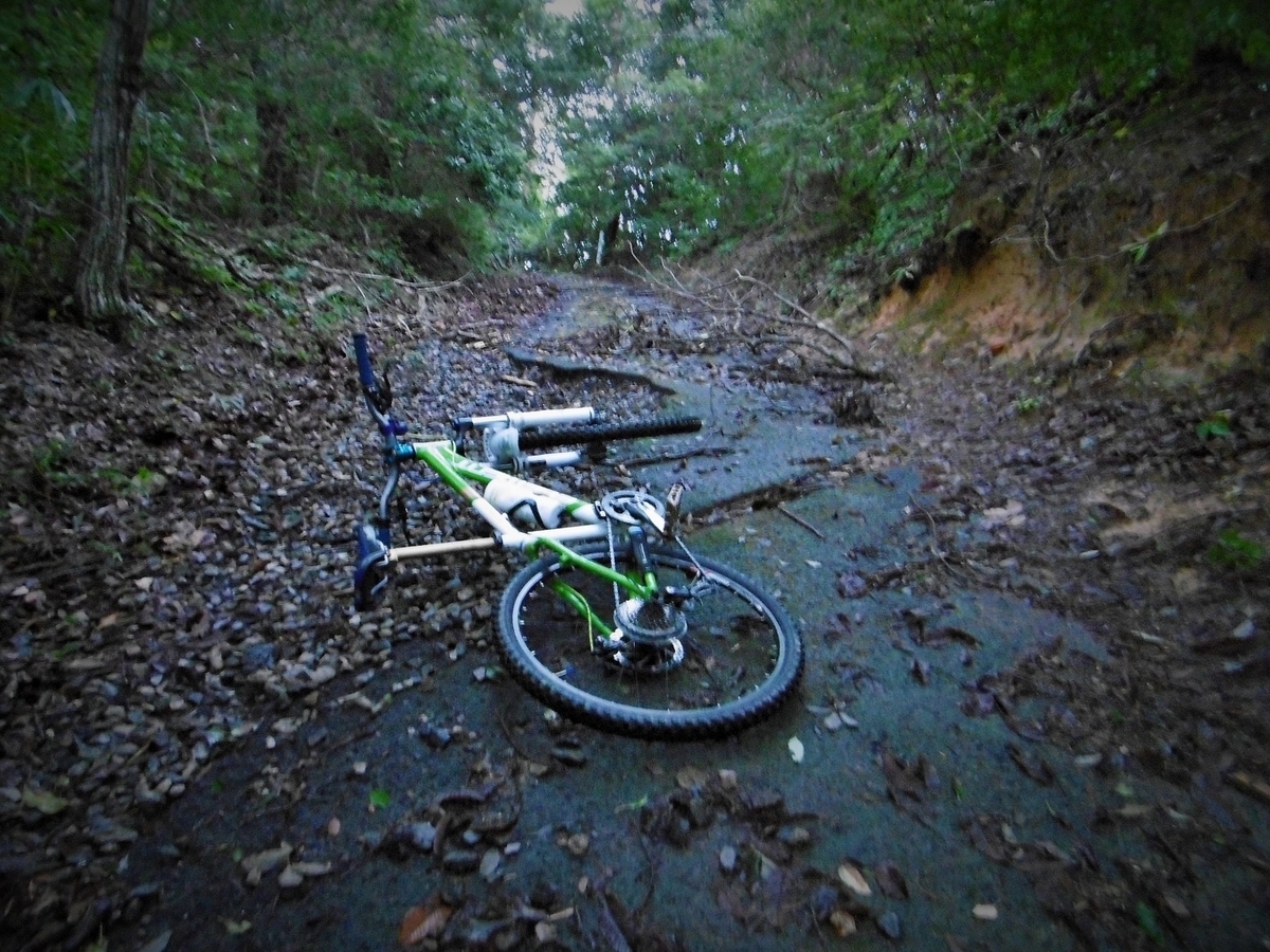 f:id:setakayabase:20210822213440j:plain