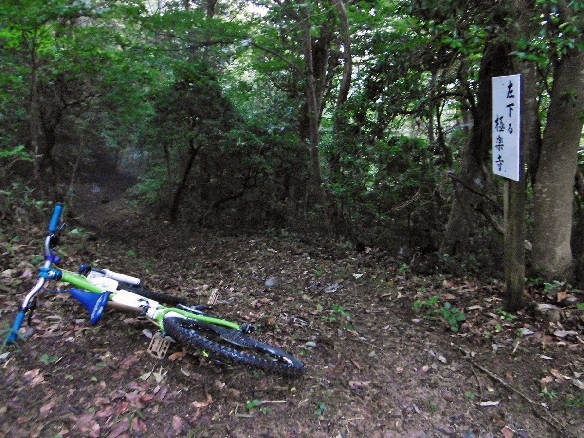 f:id:setakayabase:20210822214203j:plain