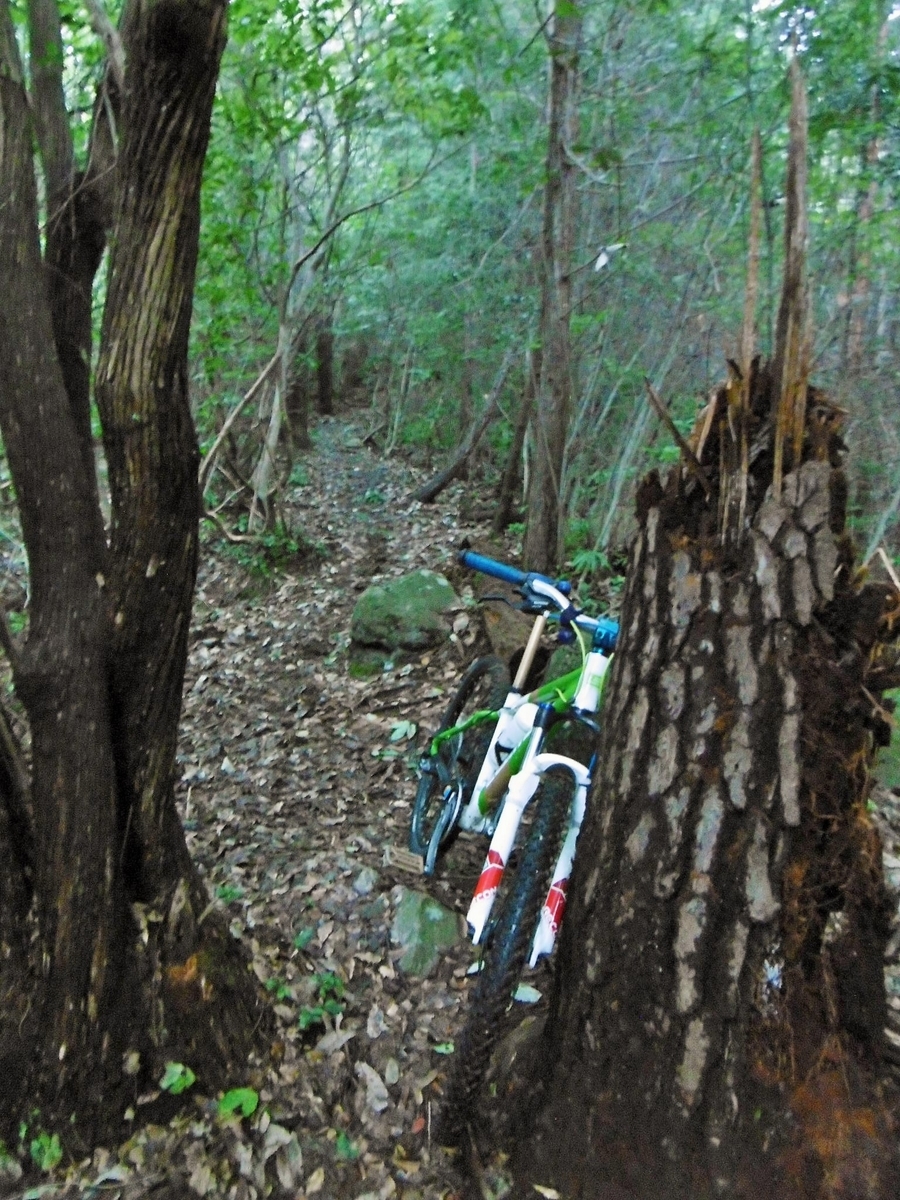 f:id:setakayabase:20210822214243j:plain