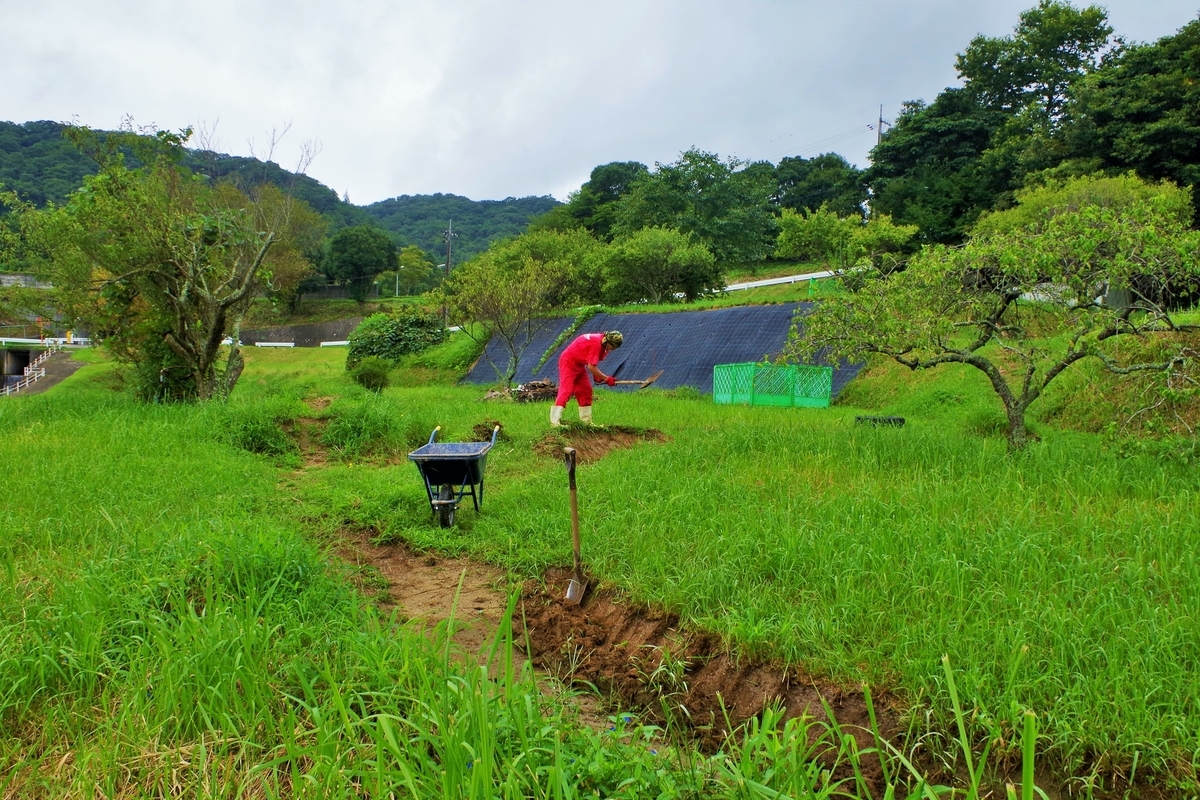 f:id:setakayabase:20210822215452j:plain