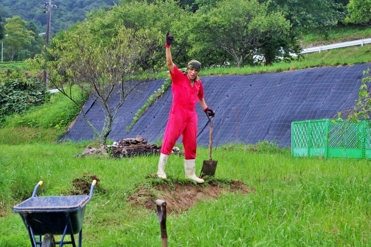 f:id:setakayabase:20210822215506j:plain