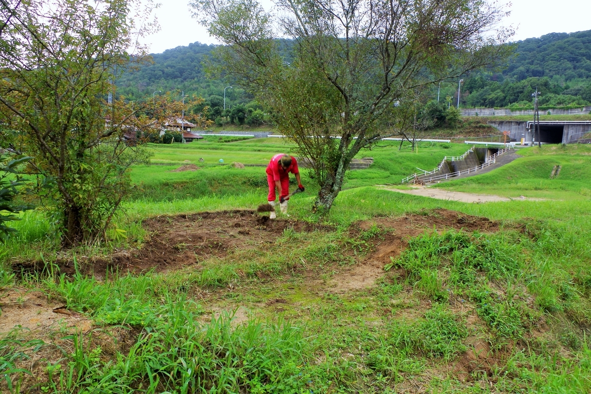 f:id:setakayabase:20210822215648j:plain