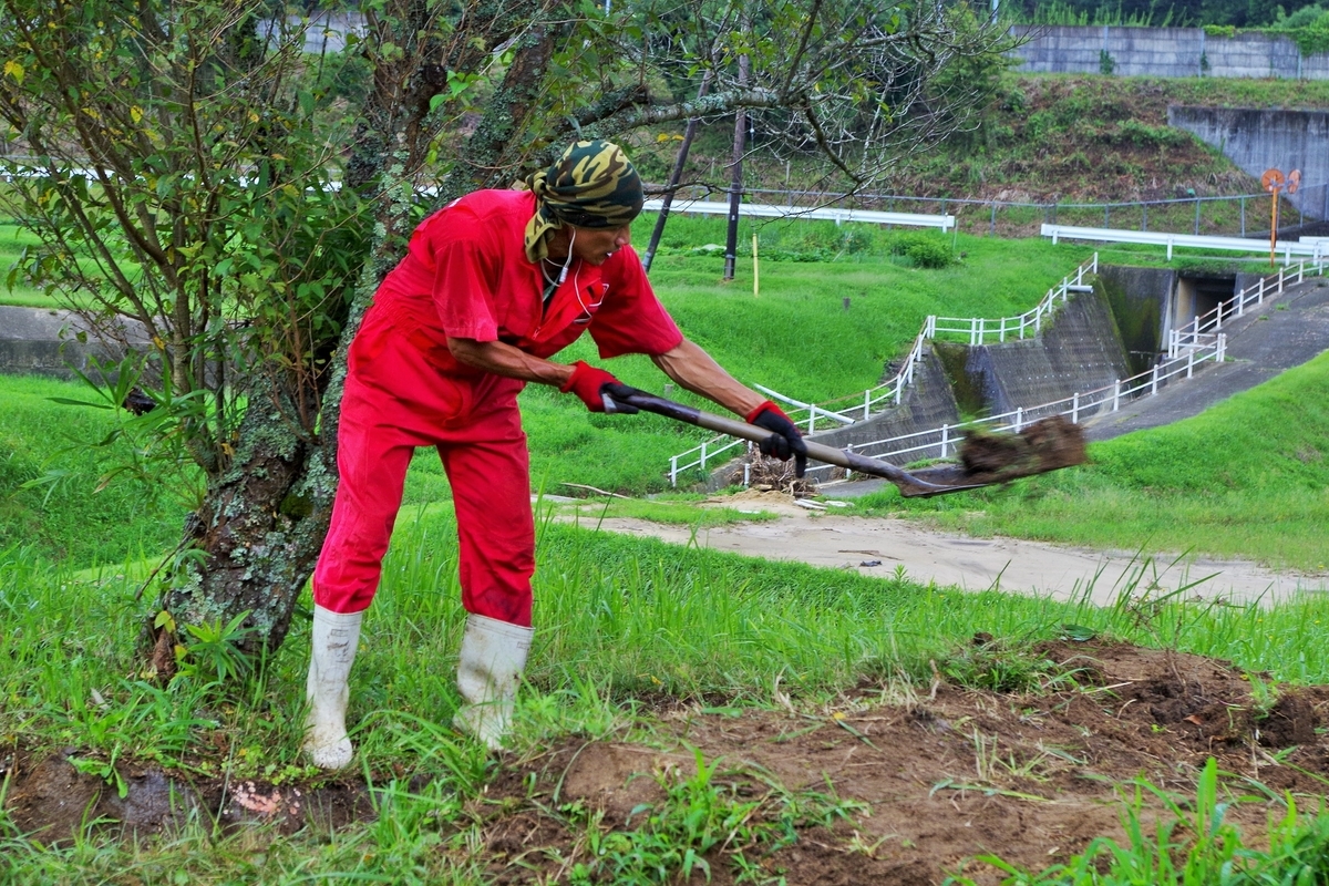 f:id:setakayabase:20210822215702j:plain