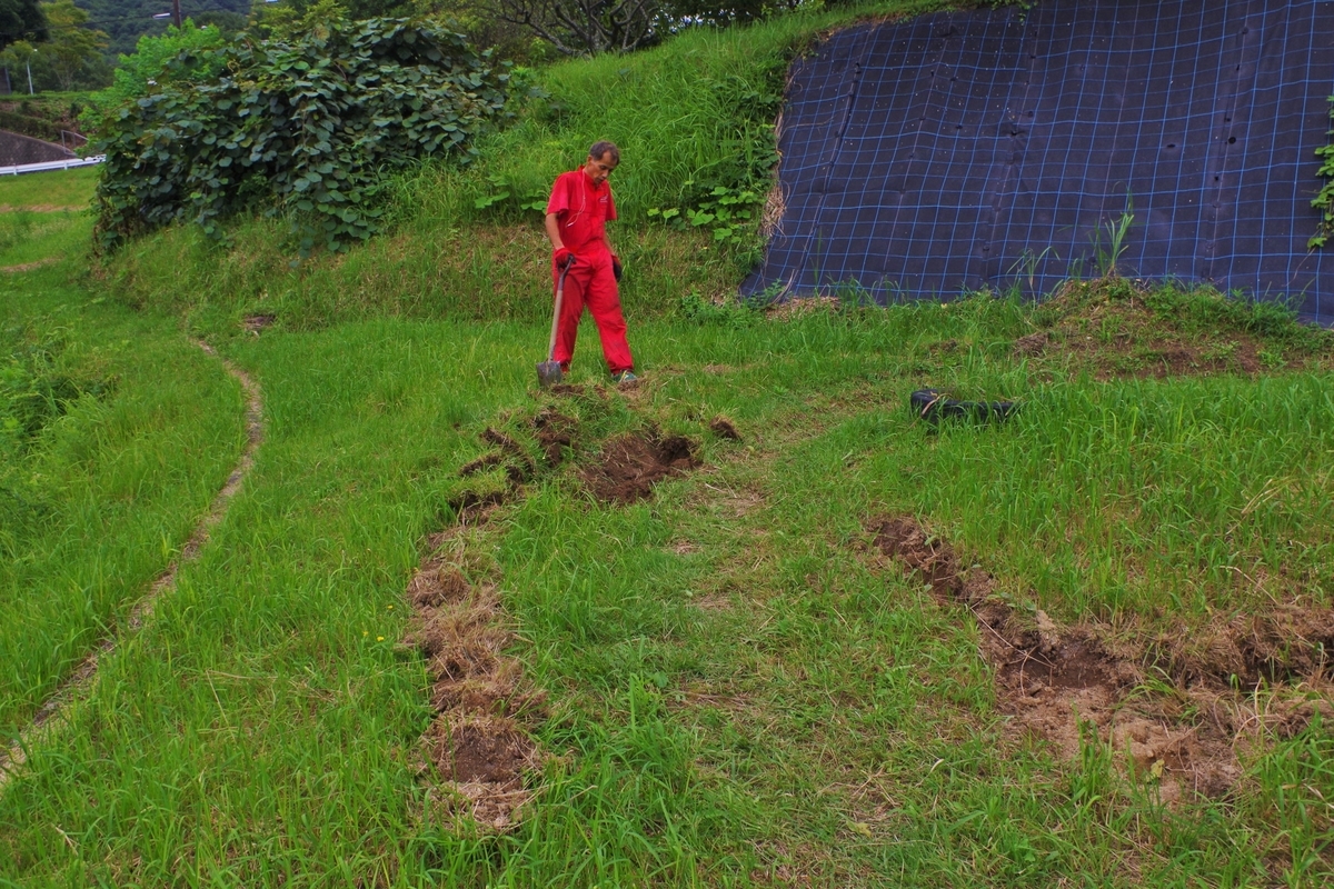 f:id:setakayabase:20210822220750j:plain