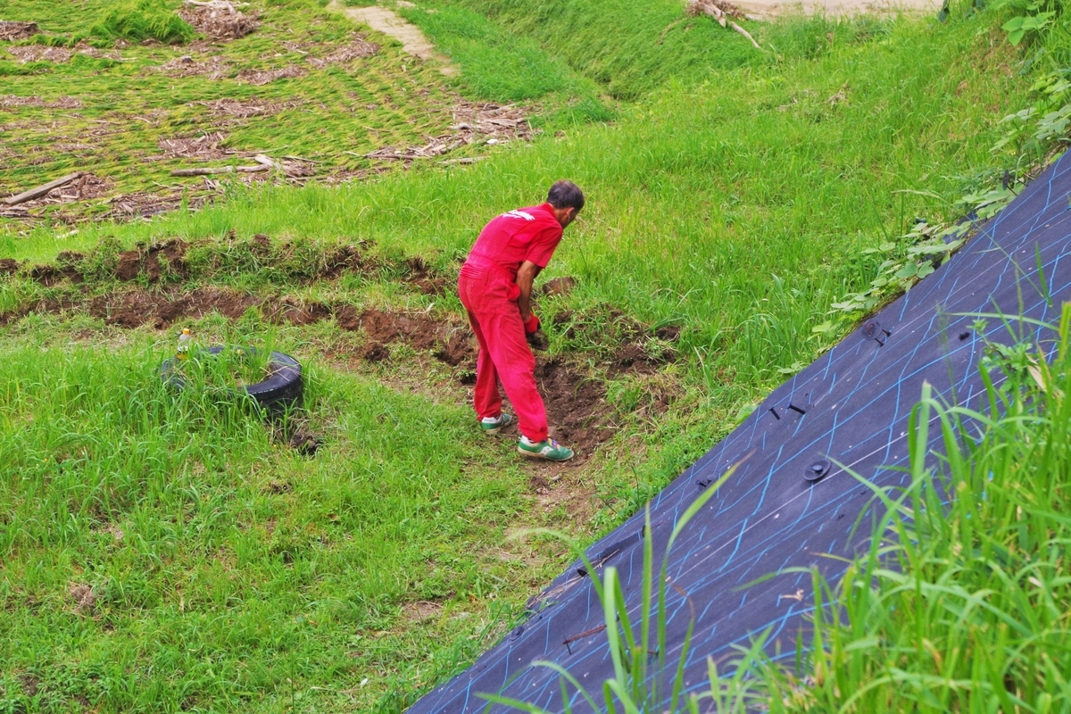 f:id:setakayabase:20210822220801j:plain