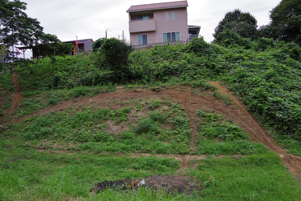 f:id:setakayabase:20210906061012j:plain