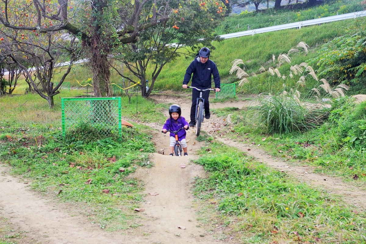 f:id:setakayabase:20211104060119j:plain