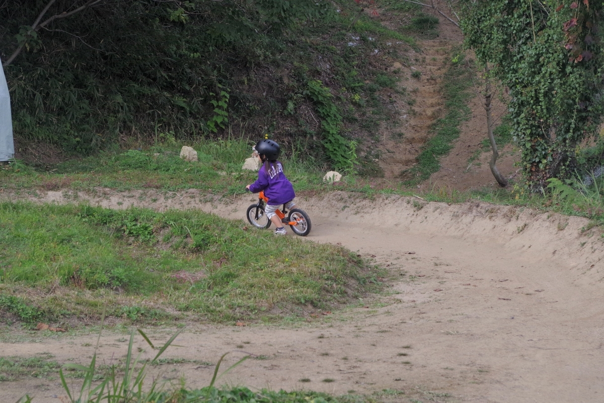 f:id:setakayabase:20211104060225j:plain