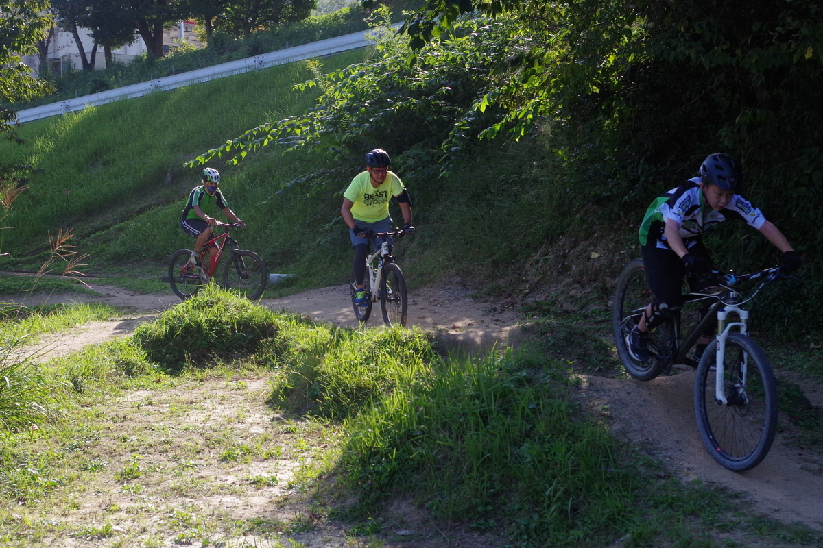 f:id:setakayabase:20211127003326j:plain