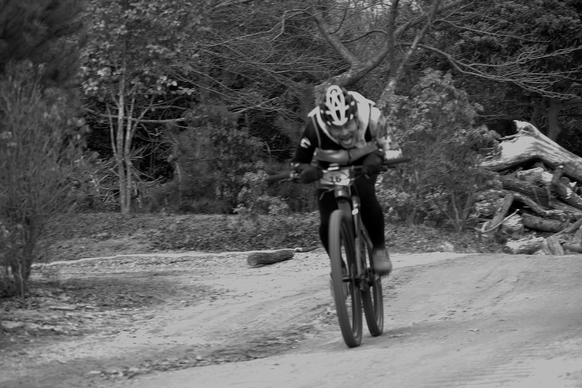 f:id:setakayabase:20211127004028j:plain