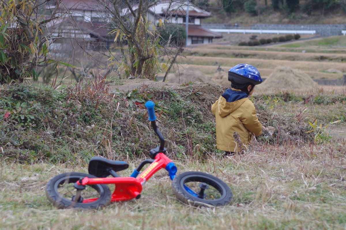 f:id:setakayabase:20211231084836j:plain