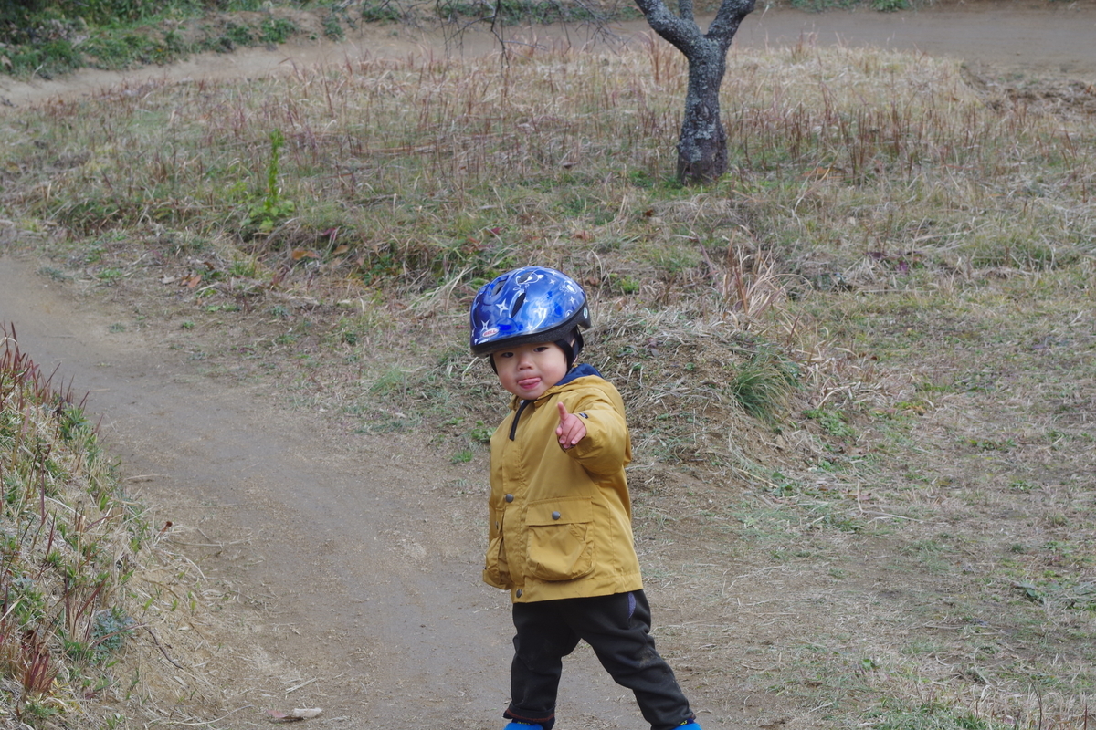 f:id:setakayabase:20211231085333j:plain