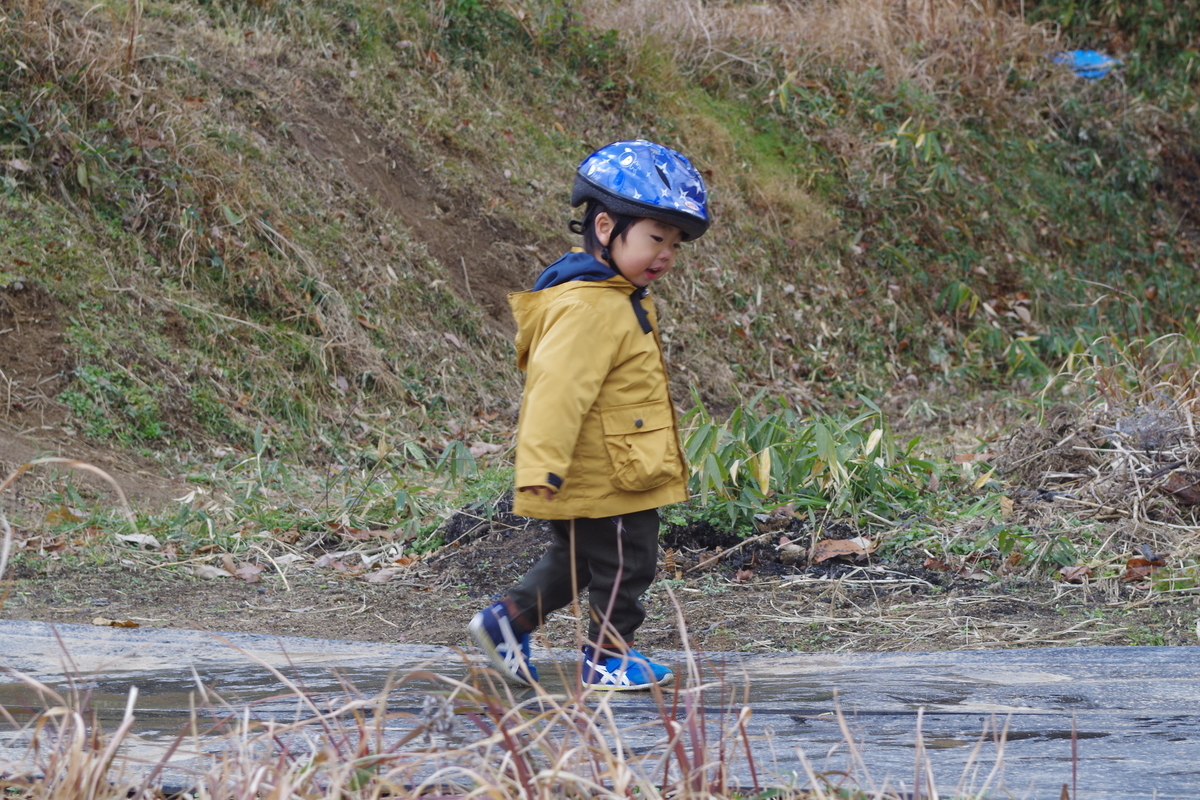 f:id:setakayabase:20211231085536j:plain