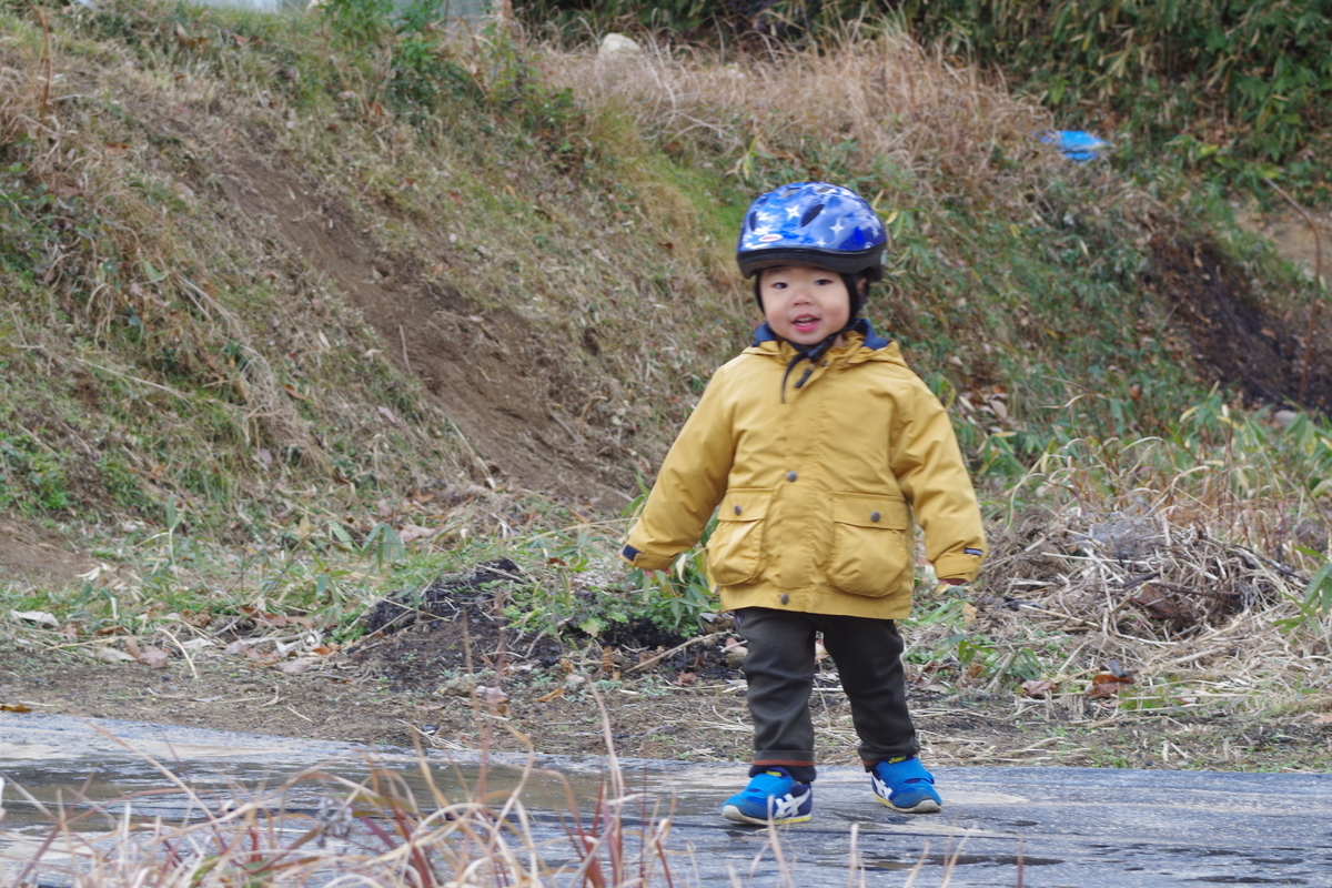 f:id:setakayabase:20211231085543j:plain