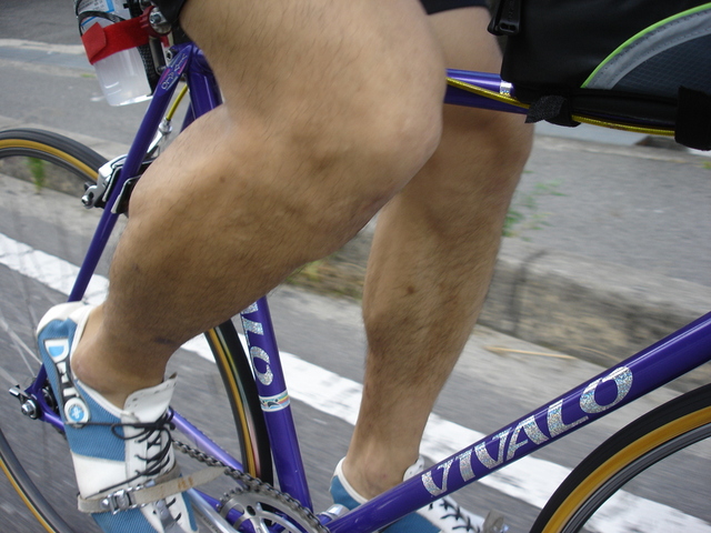 f:id:setakayabase:20211231092604j:plain