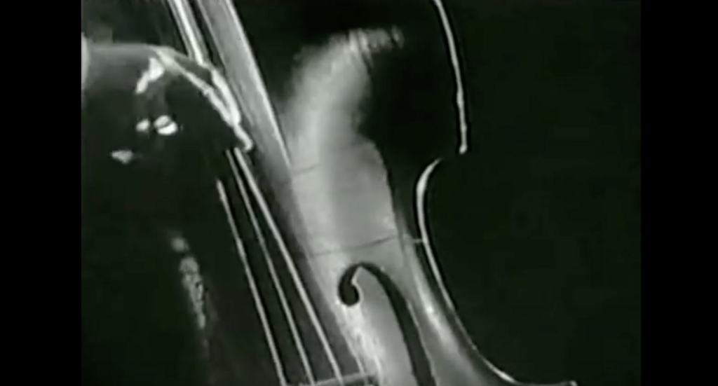 あなたの知らない ウッドベースの６種類の指弾き方法 6 Ways Of Plucking On Double Bass Jazz Bass Blog