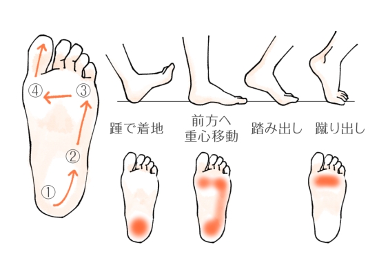 歩き方意識したことある 夫から太ったと言われるアナサーolに必見 ３ヶ月の隙間時間で体を引き締めてくびれを手に入れて夫に惚れさせ 自分のスタイルに自信をつけるプロジェクト