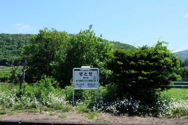 f:id:seto_hi:20190627210006j:plain