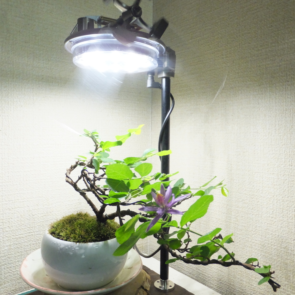 f:id:seto_lab:20190211004915j:plain