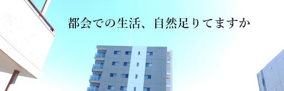f:id:seto_lab:20190211120611j:plain