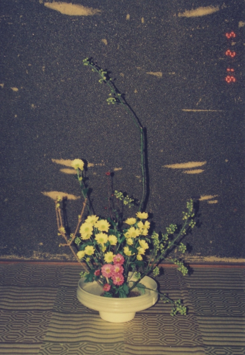 f:id:setochiyo1970:20210522090106j:plain