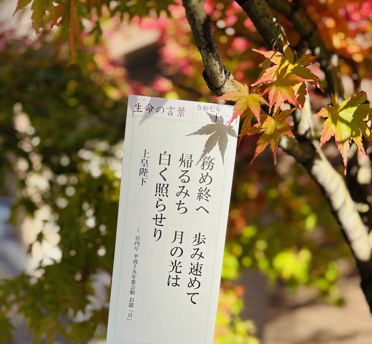 m (@hsj_sm_728) • Instagram photos and videos, image size:1200x1108