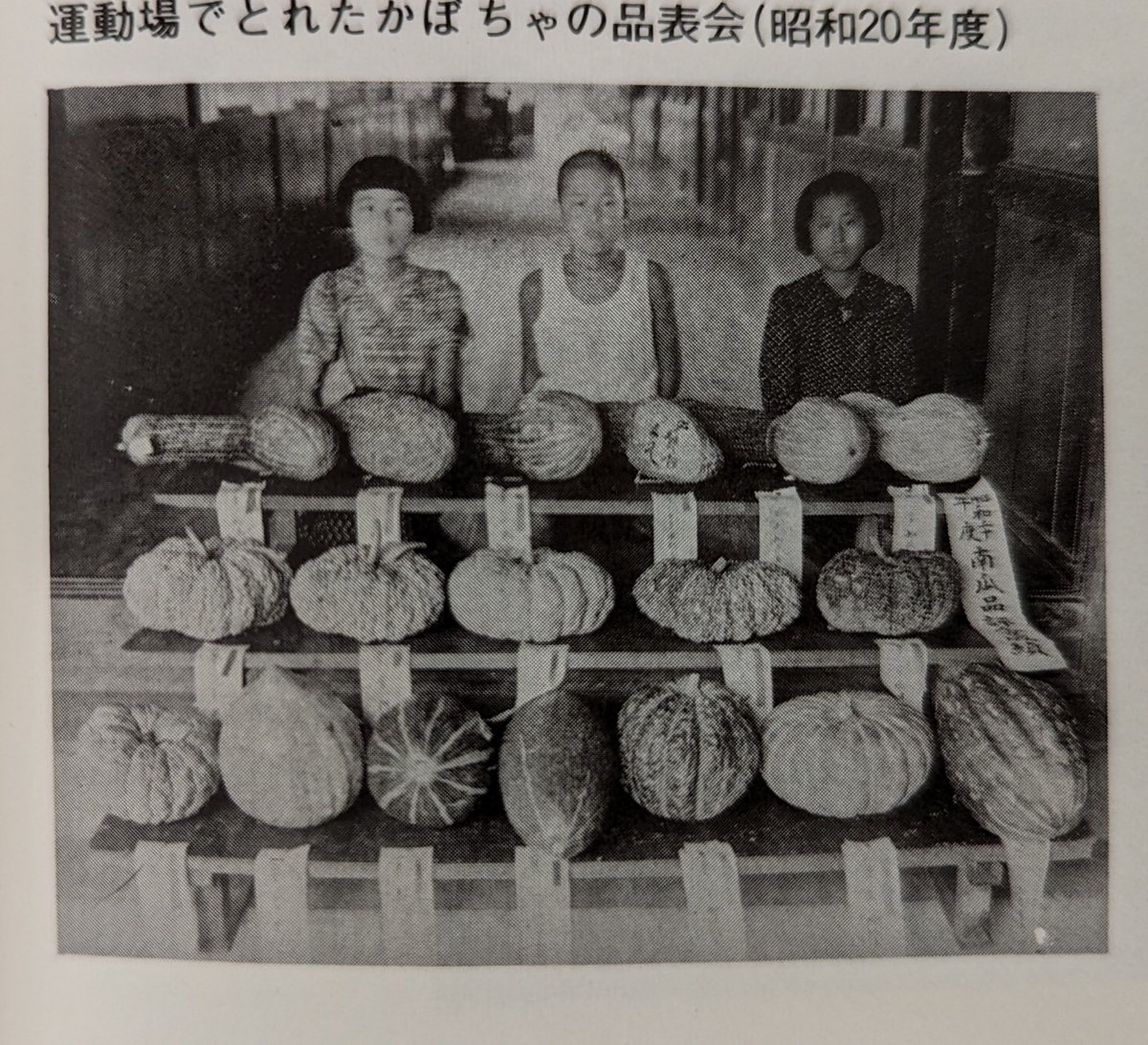 戦後の食糧難 - setokouchanの日記