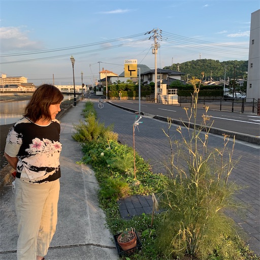 f:id:setouchi_bouquet:20200622223254j:image