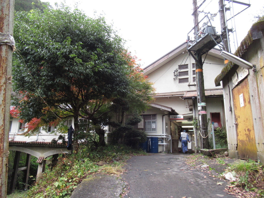 f:id:setoutivrm:20181106113822j:plain