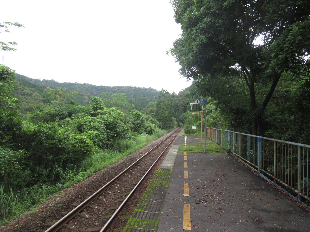 f:id:setoutivrm:20200712145505j:plain